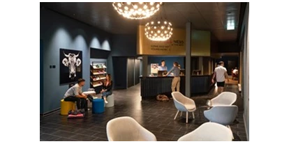 Hundehotel - WLAN - Saanenmöser - THE HEY HOTEL - Lobby - THE HEY HOTEL