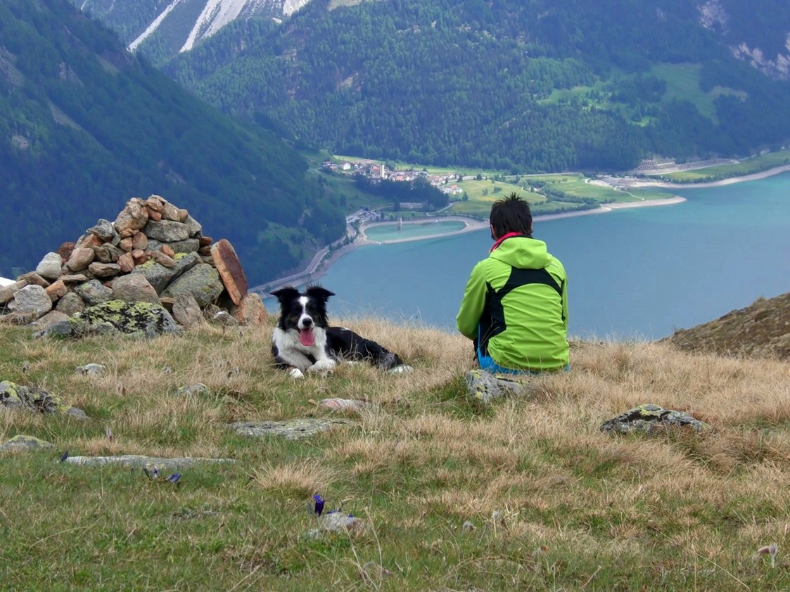 Urlaub-mit-Hund: Unser Coudy ist immer mit dabei! - Hotel Reschnerhof