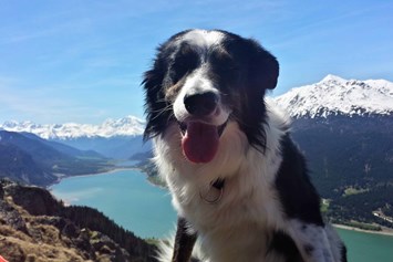 Urlaub-mit-Hund: Coudy auf Wanderschaft - Hotel Reschnerhof