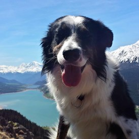 Urlaub-mit-Hund: Coudy auf Wanderschaft - Hotel Reschnerhof