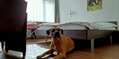 Hundehotel - WLAN - Saanenmöser - Hotel Crystal AG