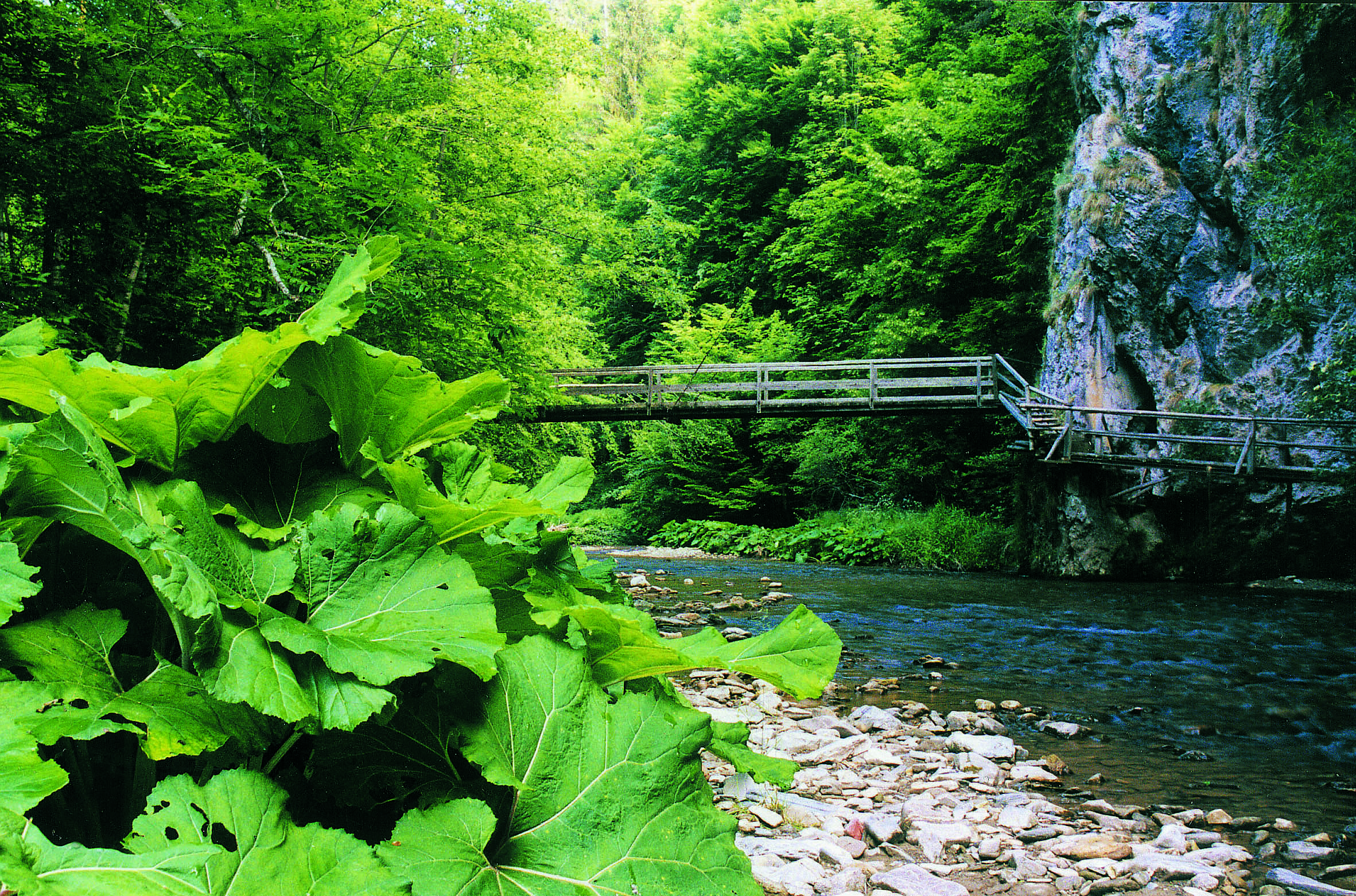 Garten-Hotel Ochensberger Ausflüge mit Hund Wanderparadies Raabklamm