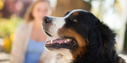 Hundehotel - Pools: Schwimmteich - "Pfotenwohl" im Garten-Hotel Ochensberger - Garten-Hotel Ochensberger