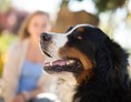 Urlaub-mit-Hund: "Pfotenwohl" im Garten-Hotel Ochensberger - Garten-Hotel Ochensberger