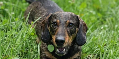 Hundehotel - Pools: Schwimmteich - The RESI Apartments "mit Mehrwert"