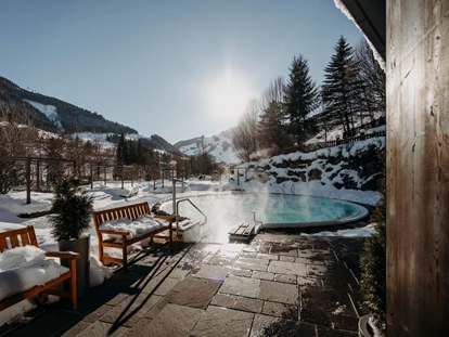 Hundehotel - Pools: Schwimmteich - Familien- & Gartenhotel Theresia****S