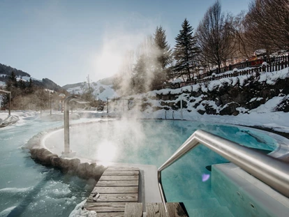 Hundehotel - Pools: Schwimmteich - Familien- & Gartenhotel Theresia****S