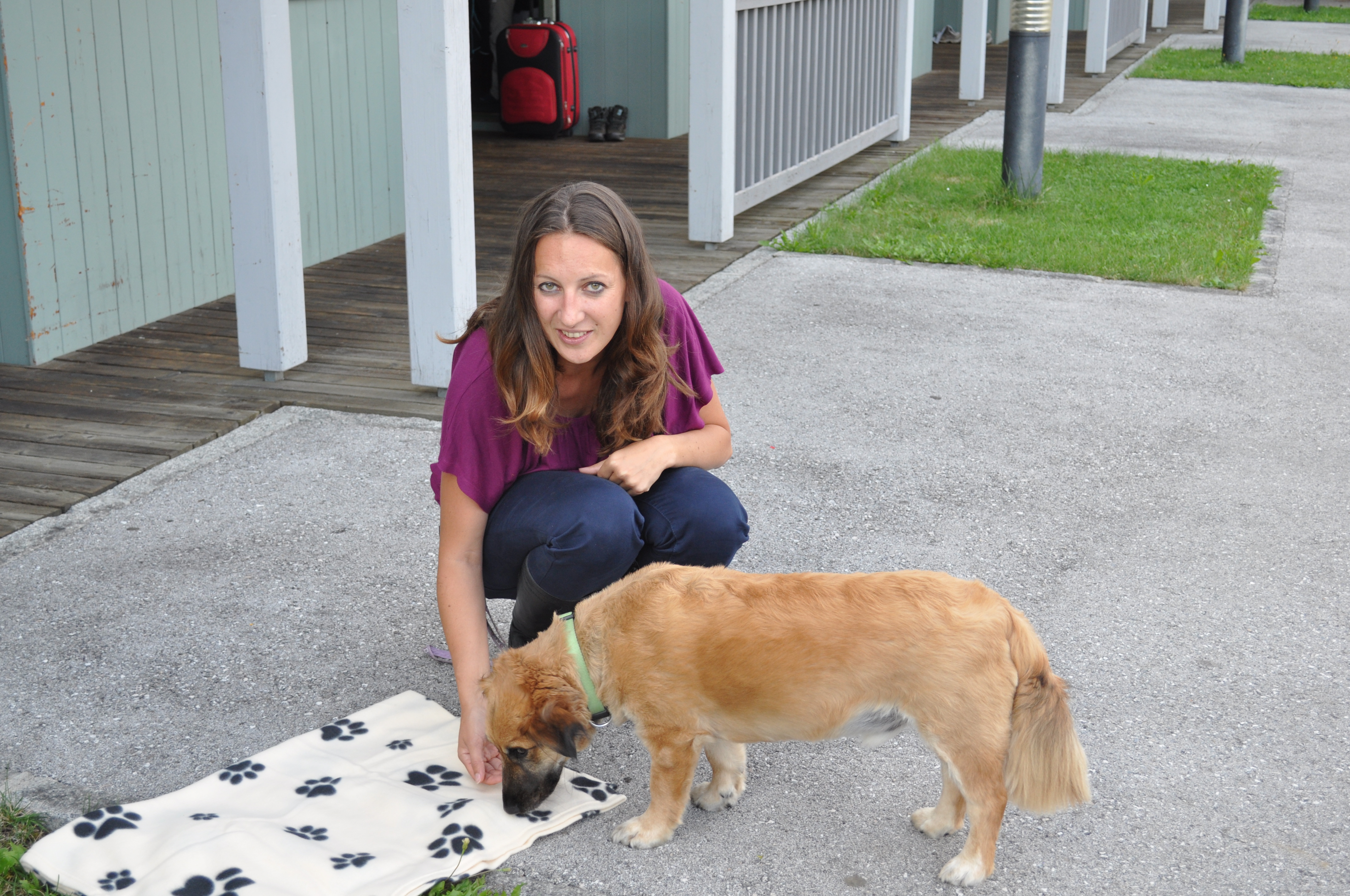Hundehotel - Verpflegung: Frühstück - Urlaub mit Hund - Gästedorf Waldheimat