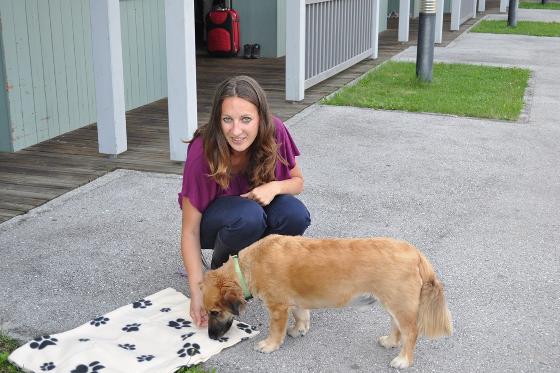 Urlaub-mit-Hund: Urlaub mit Hund - Gästedorf Waldheimat