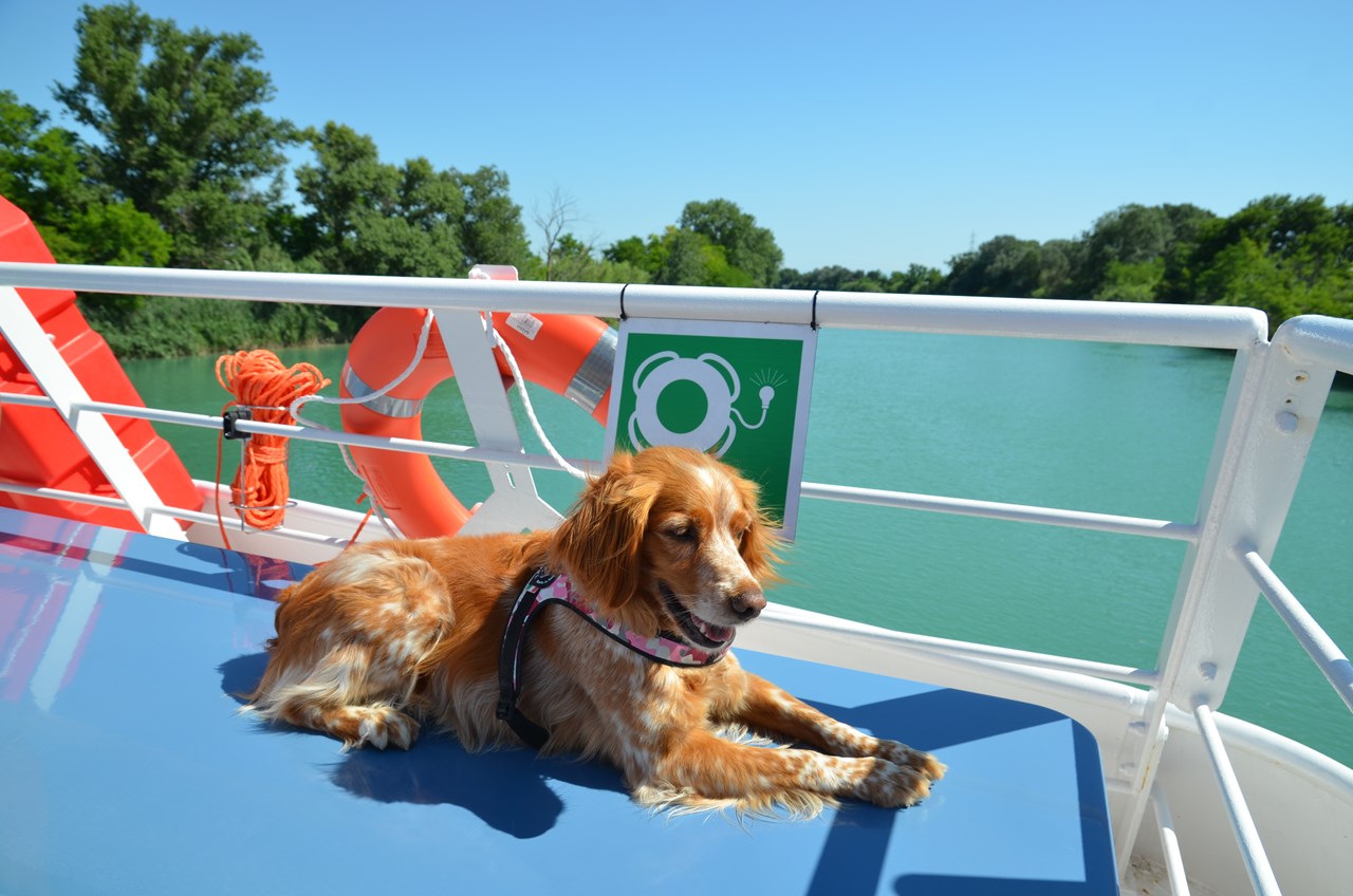 Lino delle Fate Eco Village Resort Ausflüge mit Hund Bootsfahrt entlang des Flusses Tagliamento