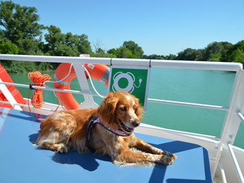 Green Village Resort Ausflüge mit Hund Bootsfahrt entlang des Flusses Tagliamento