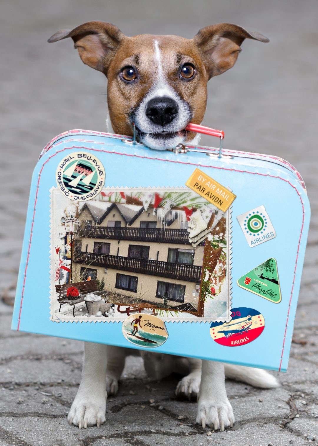 Urlaub-mit-Hund: Unser hundefreundliches Hotel - Hotel Eulenhof ⭐️⭐️⭐️ , das Hotel für Mensch und Tier.. Liebevoll gestaltet und ausgestattet