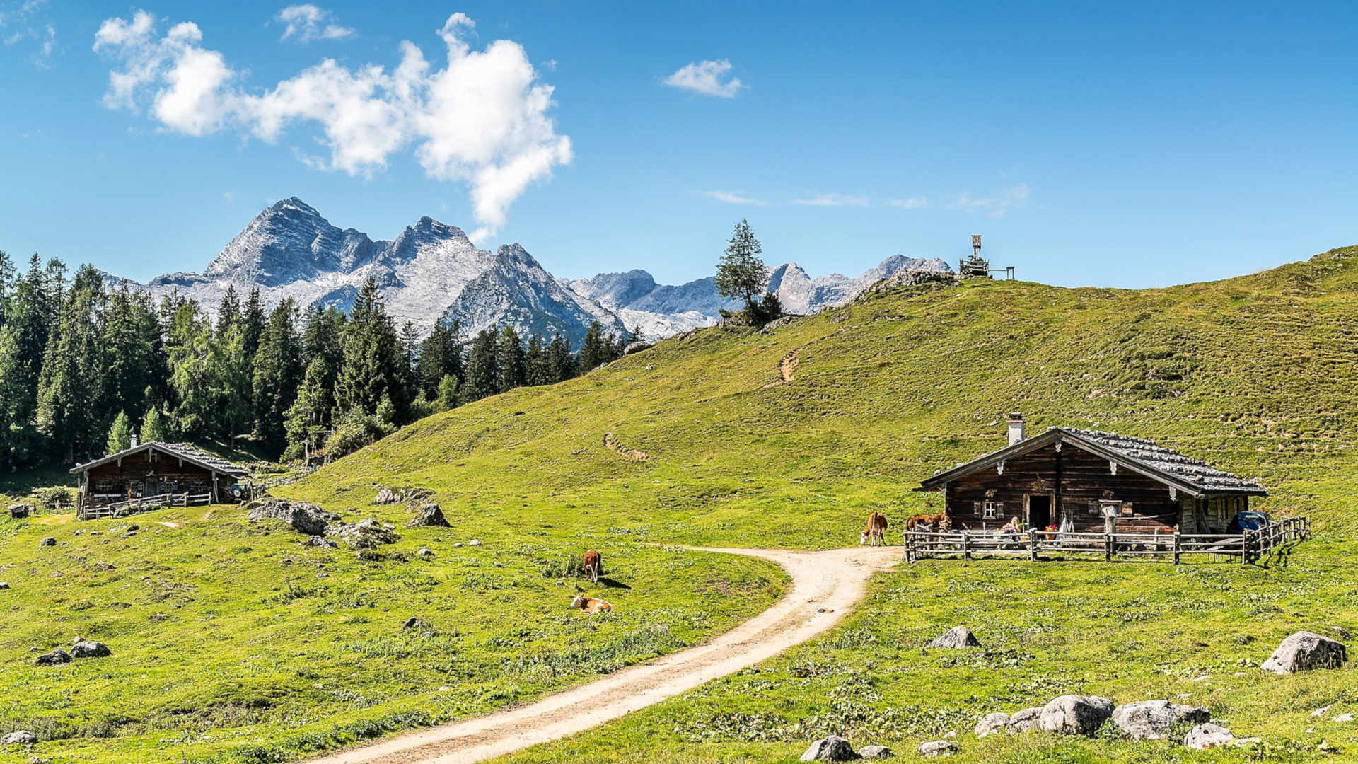 Familien und Vitalhotel Mühlpointhof ***S Ausflüge mit Hund Sommer: Almenwelt Lofer 