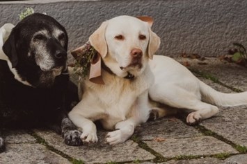 Urlaub-mit-Hund: Ehemalige Chef de Security: Kathi & Lotta - Familien und Vitalhotel Mühlpointhof ***S