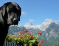 Urlaub-mit-Hund: Chef de Security: Kathi - Familien und Vitalhotel Mühlpointhof ***S
