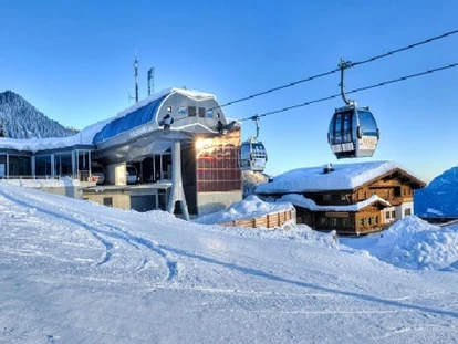 Hundehotel - Pools: Schwimmteich - Almenwelt Lofer: Winter - Familien und Vitalhotel Mühlpointhof ***S