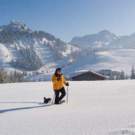 Urlaub-mit-Hund: Schneeschuhwandern mit Hund - Familien und Vitalhotel Mühlpointhof ***S