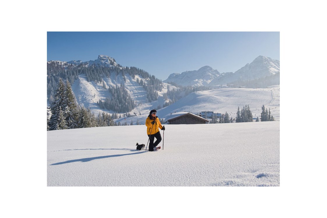 Urlaub-mit-Hund: Schneeschuhwandern mit Hund - Familien und Vitalhotel Mühlpointhof ***S