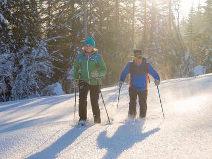 Hundehotel - Pools: Schwimmteich - Schneeschuhwandern - Familien und Vitalhotel Mühlpointhof ***S