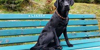 Hundehotel - Ruhpolding - Chef de Security: Frieda - Familien und Vitalhotel Mühlpointhof ***S