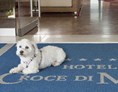 Urlaub-mit-Hund: Pet-Friendly? Eine echte Philosophie!

In unserem Hotel direkt am Meer sind Haustiere immer gerne ohne weiteren Zuschlag willkommen. - Hotel Croce di Malta