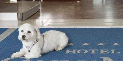 Hundehotel - Trink-/Fressnapf: an der Rezeption - Lido di Jesolo - Pet-Friendly? Eine echte Philosophie!
In unserem Hotel direkt am Meer sind Haustiere immer gerne ohne weiteren Zuschlag willkommen. - Hotel Croce di Malta
