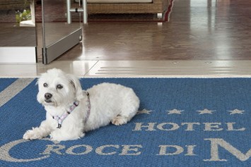 Urlaub-mit-Hund: Pet-Friendly? Eine echte Philosophie!

In unserem Hotel direkt am Meer sind Haustiere immer gerne ohne weiteren Zuschlag willkommen. - Hotel Croce di Malta