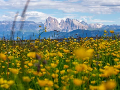 Hundehotel - Doggies: 3 Doggies - Ausblick von der hoteleigenen Alm - Sonnenhotel Adler Nature Spa Adults only