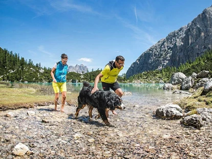 Hundehotel - Doggies: 3 Doggies - Sonnenhotel Adler Nature Spa Adults only