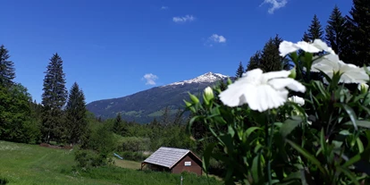 Hundehotel - in einer Ferienanlage/Wohnanlage - Großarl - Ferienparadies Wiesenbauer - Ferienparadies Wiesenbauer