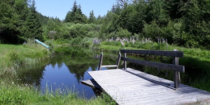 Hundehotel - in einer Ferienanlage/Wohnanlage - Großarl - Naturmoorteich - Ferienparadies Wiesenbauer