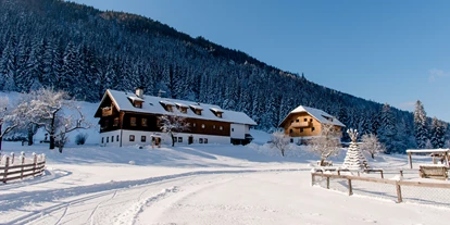 Hundehotel - in einer Ferienanlage/Wohnanlage - Großarl - Ferienparadies Wiesenbauer im Winter - Ferienparadies Wiesenbauer