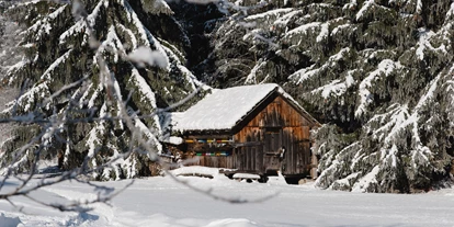 Hundehotel - in einer Ferienanlage/Wohnanlage - Großarl - Ein Wintermärchen - Ferienparadies Wiesenbauer