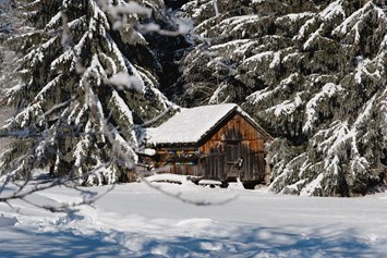 Ferienhaus mit Hund: Ein Wintermärchen - Ferienparadies Wiesenbauer