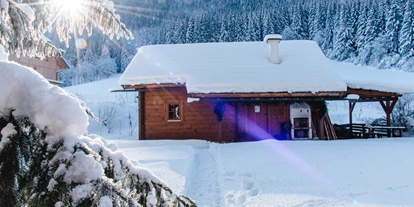 Hundehotel - in einer Ferienanlage/Wohnanlage - Großarl - Ferienparadies Wiesenbauer