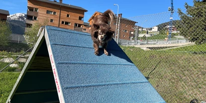 Hundehotel - Unterkunftsart: Hotel - Bodio TI - Agility Platz - Catrina Hotel