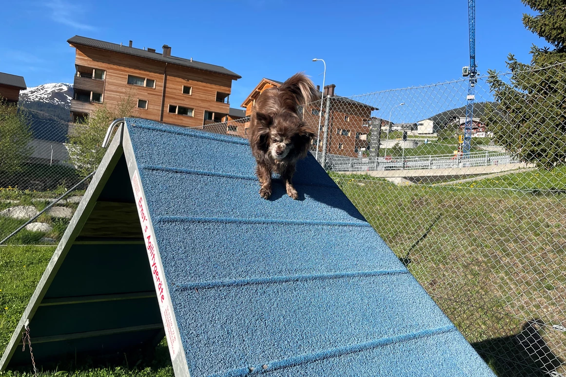 Urlaub-mit-Hund: Agility Platz - Catrina Hotel