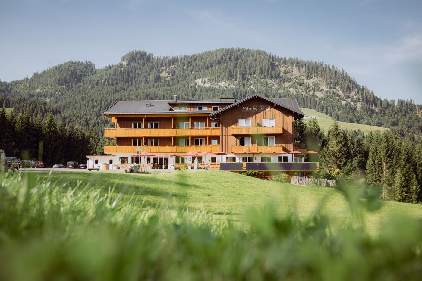Hundehotel - Wiggensbach - Hausansicht Sommer  - Alpengasthof Hörnlepass