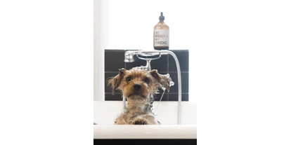 Hundehotel - Berlin - Gorki loves dogs - Gorki Apartments