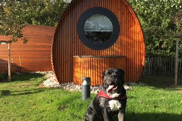 Urlaub-mit-Hund: Hundeglück im SONNENGARTEN - Glamping Resort Biosphäre Bliesgau