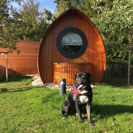 Urlaub-mit-Hund: Hundeglück im SONNENGARTEN - Glamping Resort Biosphäre Bliesgau