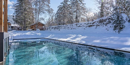 Hundehotel - Pools: Schwimmteich - Hotel Pustertalerhof