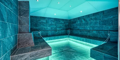 Hundehotel - Pools: Schwimmteich - Hotel Pustertalerhof