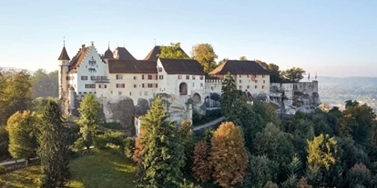 Hundehotel - Doggies: 3 Doggies - Mercure Hotel Krone Lenzburg