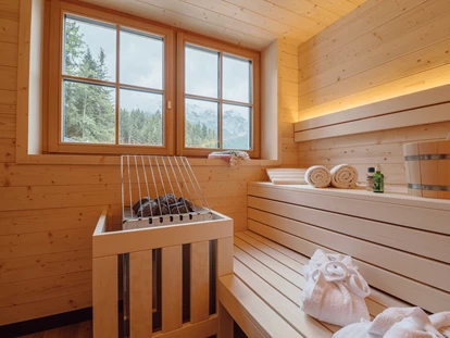 Hundehotel - Pools: Schwimmteich - Salzkammergut Plus - Narzissendorf Zloam