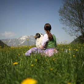 Urlaub-mit-Hund: Wiese im Narzissendorf - Narzissendorf Zloam