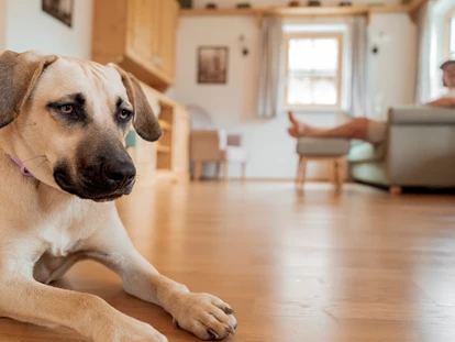 Hundehotel - Pools: Schwimmteich - Familien mit Hund im Haus Toplitzseee - Narzissendorf Zloam