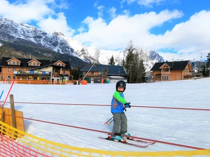 Hundehotel - Pools: Schwimmteich - Seillift beim Skilift Zloam - Narzissendorf Zloam