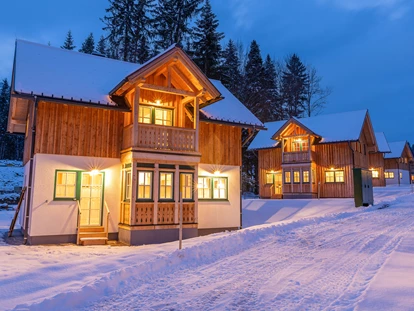 Hundehotel - Pools: Schwimmteich - Narzissendorf Zloam Winter - Narzissendorf Zloam