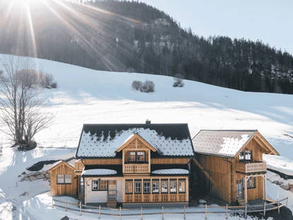 Hundehotel - Pools: Schwimmteich - Haus Salzkammergut plus - Narzissendorf Zloam
